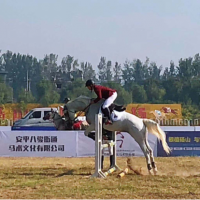博天亞董事長吳芷綺女士受邀參加 2019 中國碭山國際馬術耐力賽